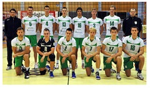 skupinska_2012